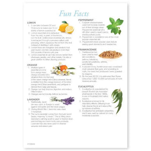 Essential Educators: Capture The Oils Mini Tear Pad Game (50 Sheets)