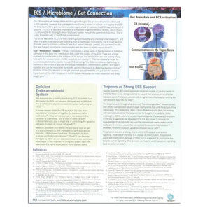 The Endocannabinoid System And Its Messengers: A Basic Overview Tear Pad (25 Sheets)