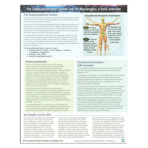 "The Endocannabinoid System and its Messengers: A Basic Overview" Tear Pad (25 Sheets)