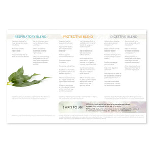 How To Use Essential Oils: Respiratory Protective And Digestive Blends Brochure (Pack Of 25)