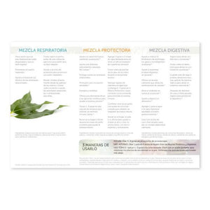 How To Use Essential Oils: Respiratory Protective And Digestive Blends Brochure (Pack Of 25)