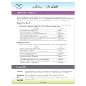 Emotions & Oils Technique 2-Page Foldout (Pack Of 10)