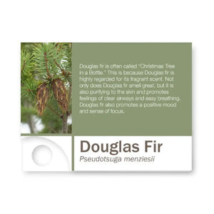 Premium Essential Oil Sample Cards (Pack Of 12) Douglas Fir