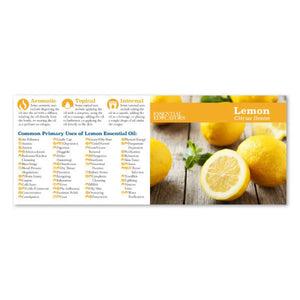 Essential Educators Mini Oil Reference Guides (Pack Of 12)