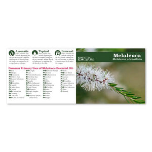 Essential Educators Mini Oil Reference Guides (Pack Of 12)