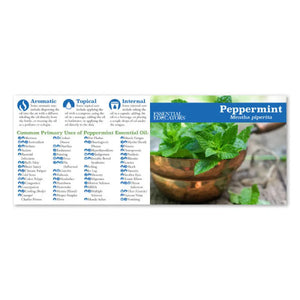 Essential Educators Mini Oil Reference Guides (Pack Of 12)