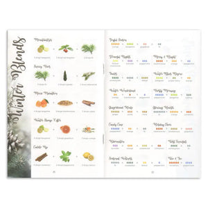 Diffuser Blends To Live By Bookletexpanded Edition (Pack Of 10)