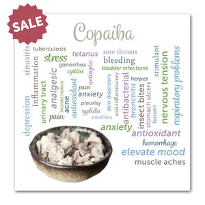 Easy Protocols For Twelve Essentials Booklet