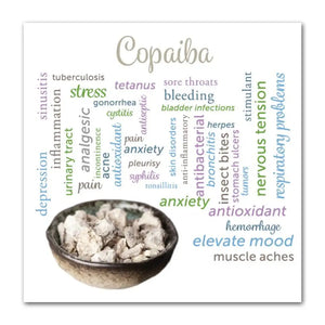 Easy Protocols For Twelve Essentials Booklet