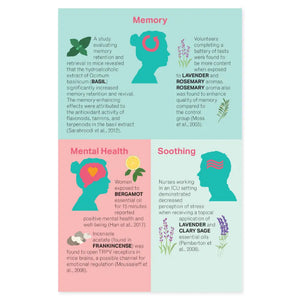 "Using Essential Oils to Cope with Anxiety" Booklet, inside sample