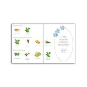 Premium Springlock Roller Bottle Blends Kit