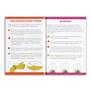 Essential Oil Support For First Aid Booklet