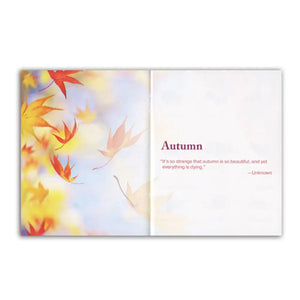 Essential Oil Sprays For Home And Family Booklet