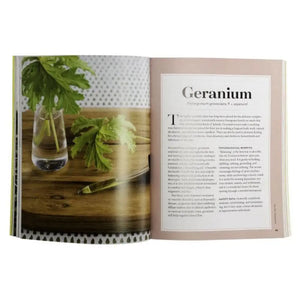 Essential Oils: A Beginners Guide By Stephanie Tourles