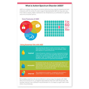 Essential Support For The Autism Spectrum Booklet
