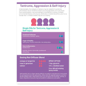 Essential Support For The Autism Spectrum Booklet