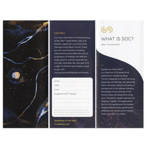 What Is Symphony Of The Cells Brochure (Pack 10)