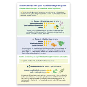 Essential Support For Depression Booklet