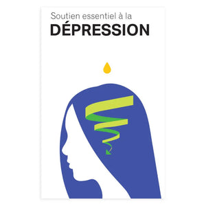Essential Support For Depression Booklet French