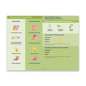 Essential Support For Ptsd Booklet