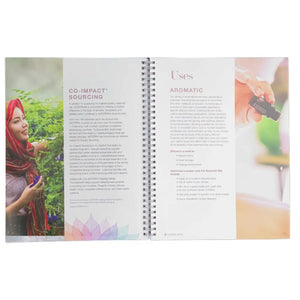 The Essential Spa Guidebook