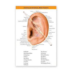 Auricular Probe and Chart