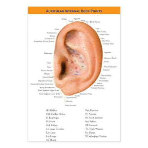 "Auricular Internal Body Points" Chart