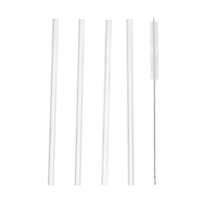 Glass Drink Straws And Cleaning Brush (Set Of 4) Straight