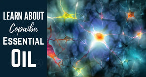 "Copaiba Essential Oil" Essential Oil Academy Digital Online Class