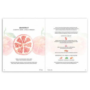 Drop Magazine Vol. 1 Spring Edition