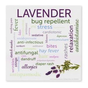 Essential Oil Word Mosaics and Photo Art Cards: lavender, front side.