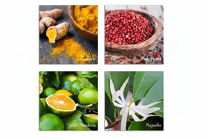 Back side of Essential Oil Word Mosaics and Photo Art Cards pack, featuring: turmeric, pink pepper, green mandarin and magnolia.