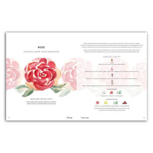 Drop Magazine Vol. 2 Summer Edition