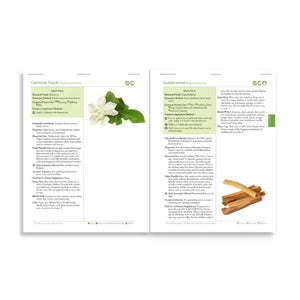 Modern Essentials: New 2022 Product Update Booklet