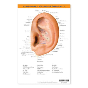 Auricular Internal Body Points Chart German