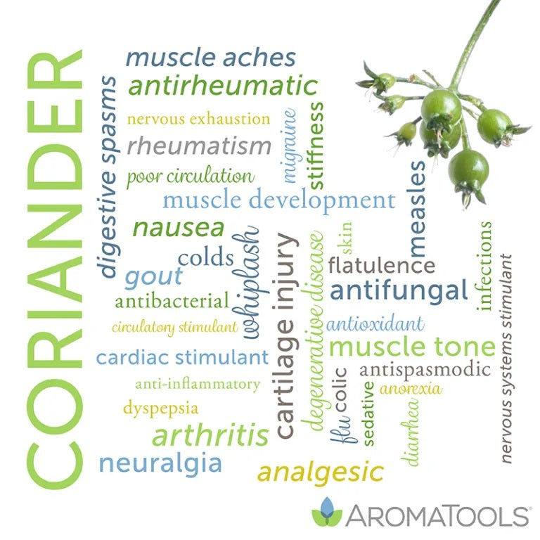 Essential Oil Spotlight: Coriander - AromaTools®