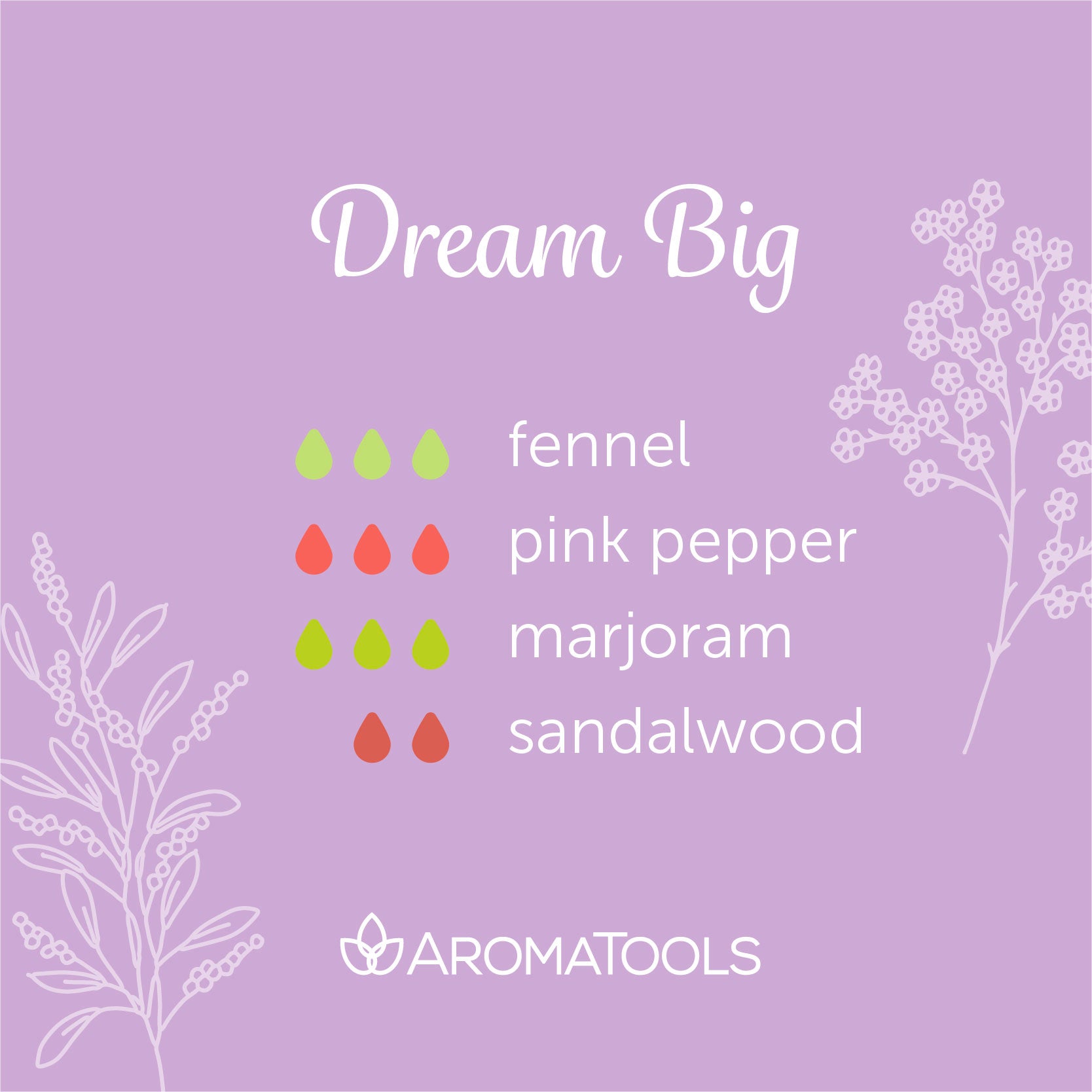 "Dream Big" Diffuser Blend. Features fennel, pink pepper, marjoram and sandalwood essential oils.