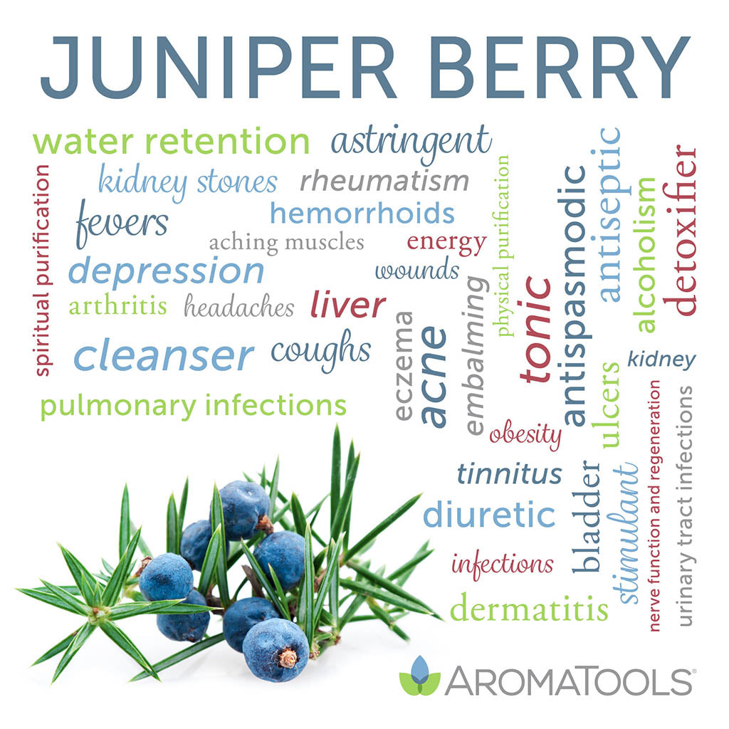 Juniper Berries  Juniper berry essential oil, Juniper essential