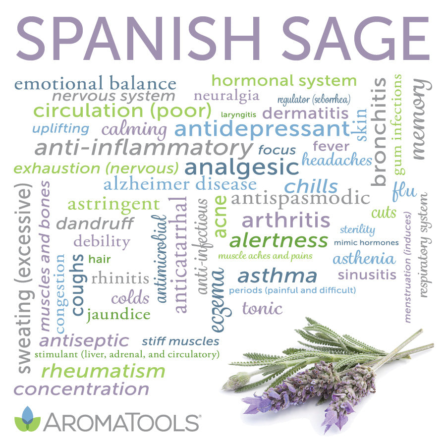Learn more about Spanish sage essential oil: properties, common uses, benefits, safety data, application, and recipes.