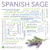 Learn more about Spanish sage essential oil: properties, common uses, benefits, safety data, application, and recipes.