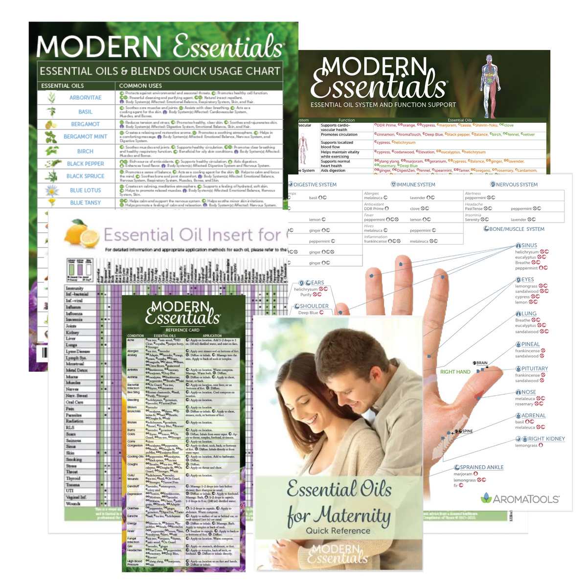 Modern Essentials Quick Reference Chart Set