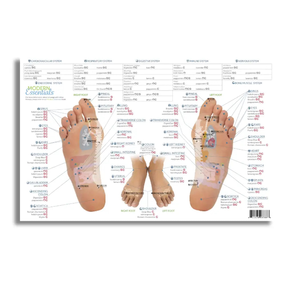 Modern Essentials Reflexology Chart