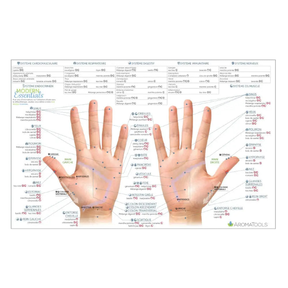 Modern Essentials Reflexology Chart 10Th Edition French