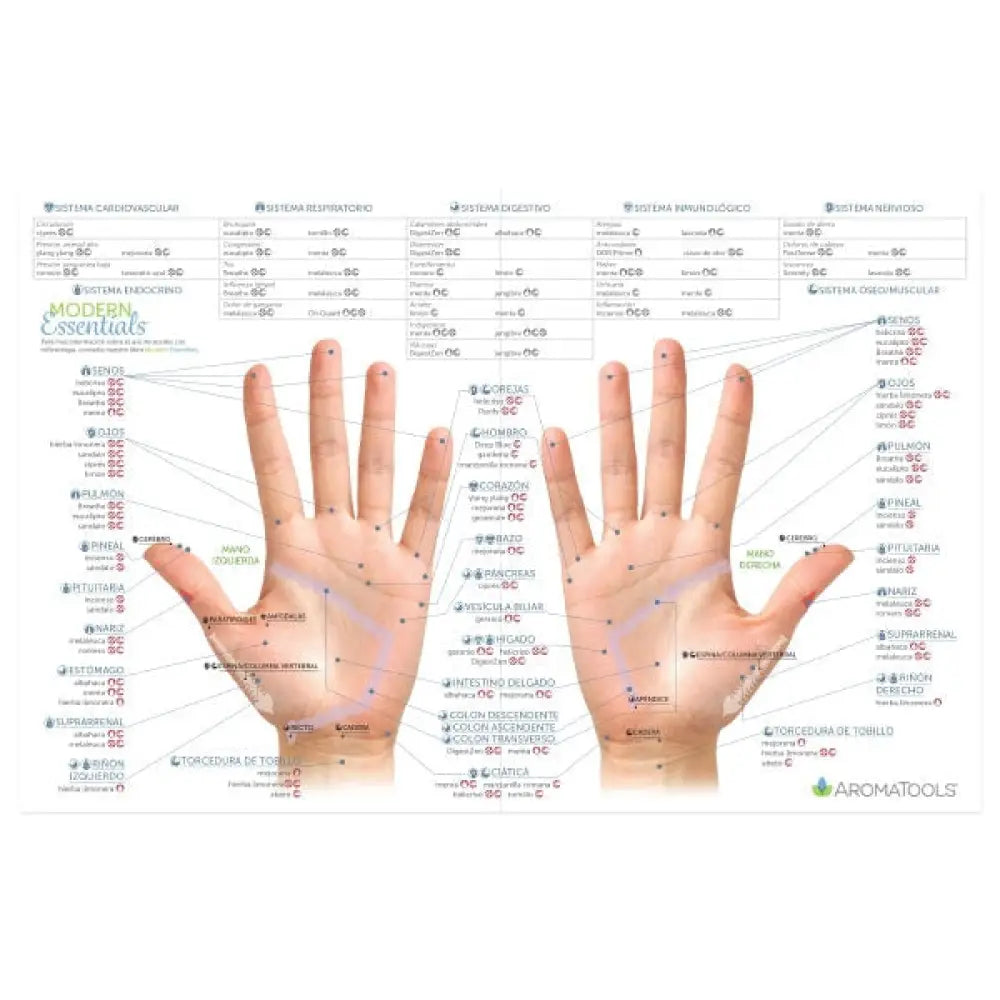 Modern Essentials Reflexology Chart 10Th Edition Spanish