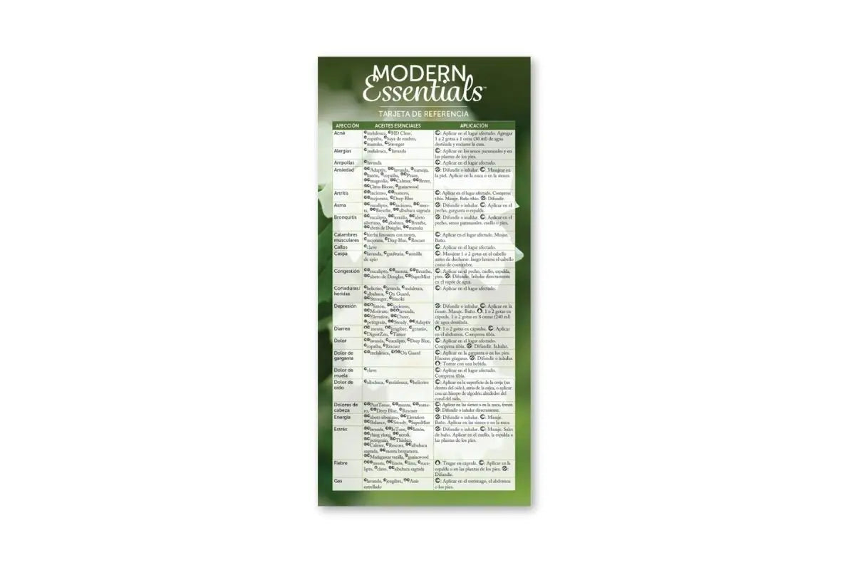 Spanish Modern Essentials Reference Cards 15Th Edition (Pack Of 25)