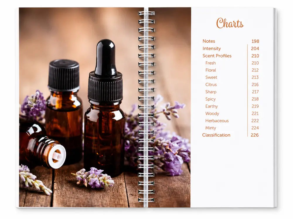 The Art of Blending Guide and Workbook