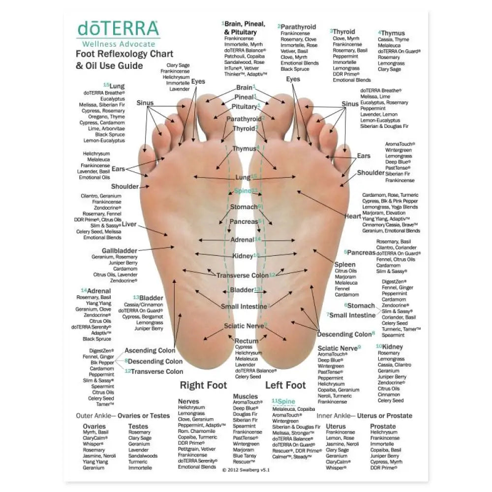 Foot side of the Hand and Foot Reflexology Chart (8-1/2 X 11), features doTERRA essential oils and blends.