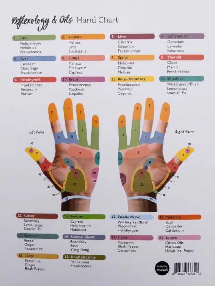 Reflexology &amp; Oils Hand Chart/Foot Chart (8-1/2’’ x 11’’)