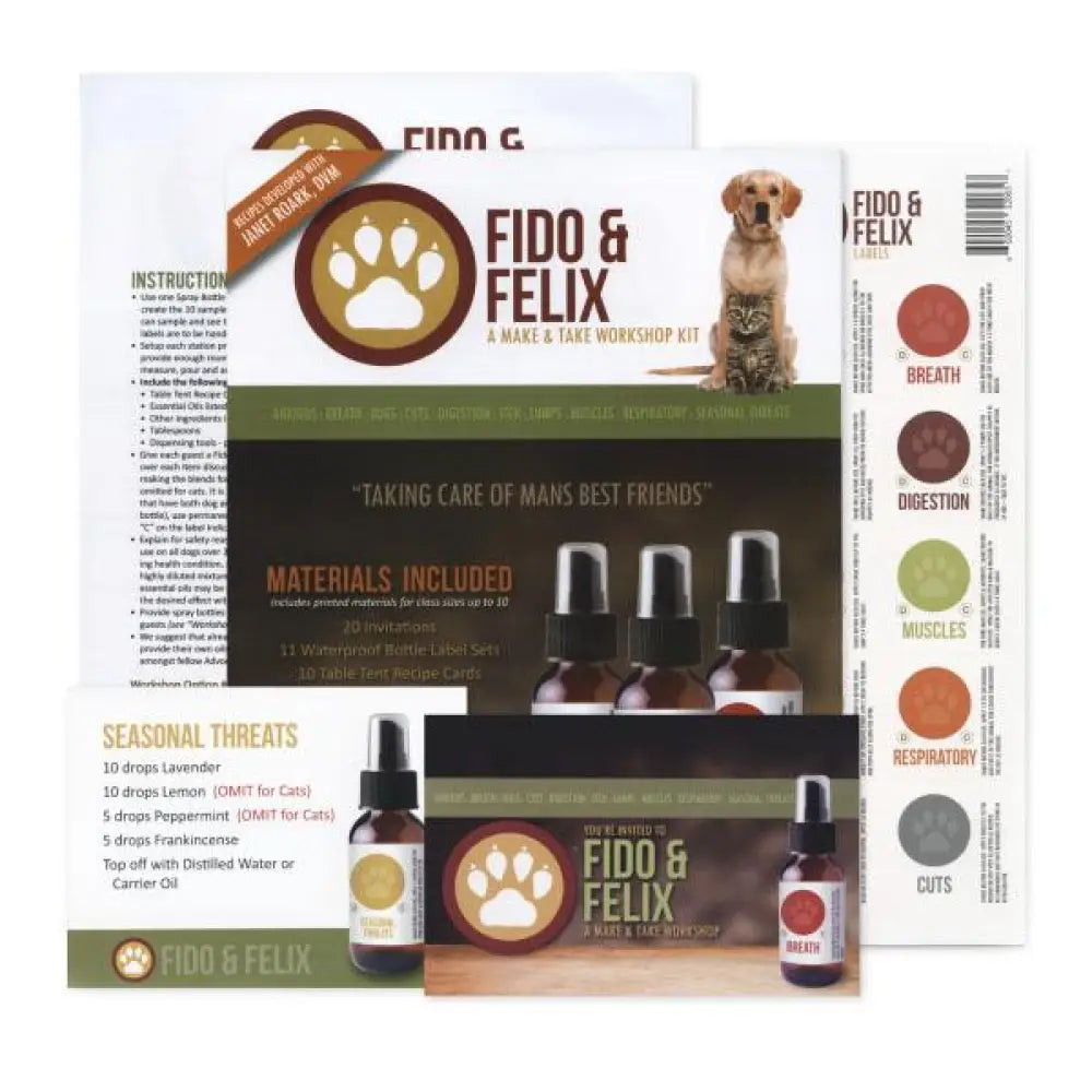 &quot;Fido &amp; Felix&quot; Make &amp; Take Workshop Kit