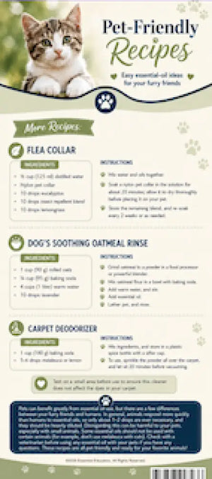 Pet-Friendly Essential Oil Recipes & Pet Sprays Rack Card (10 Pack)
